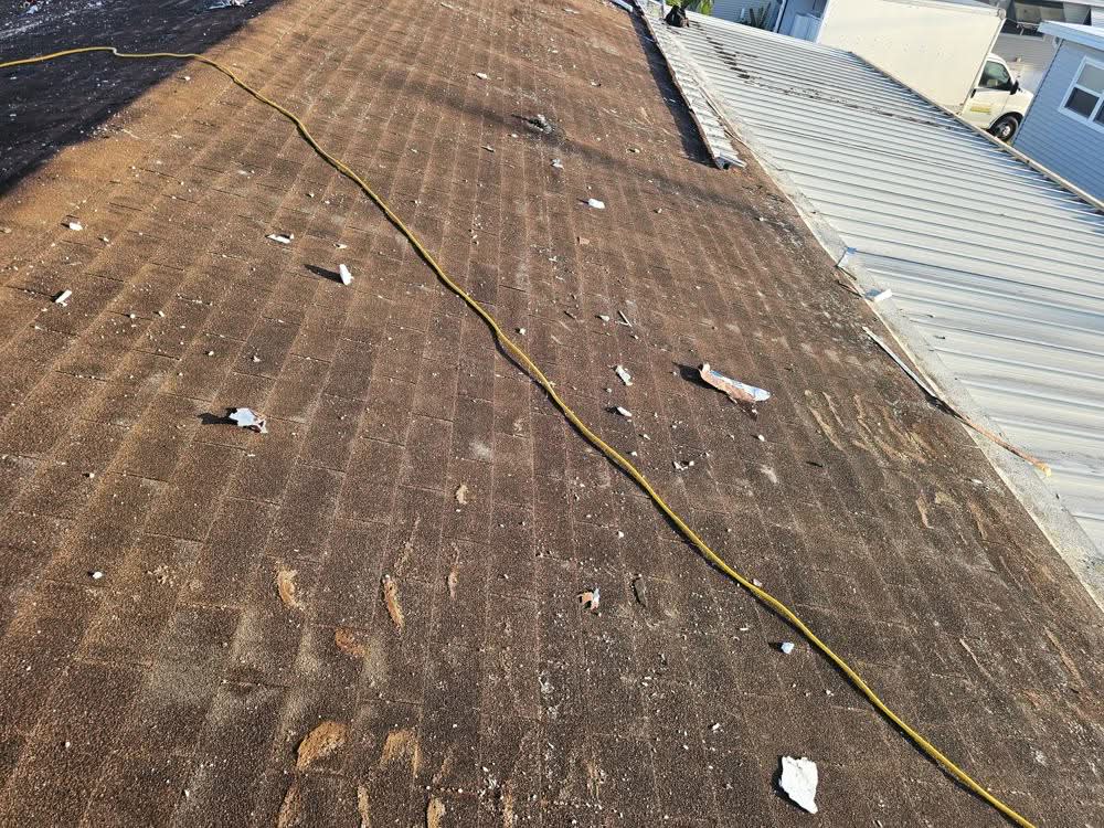 ba-before-shingle